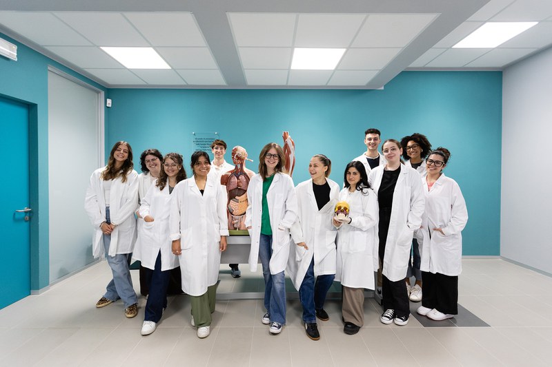 Attività in dipartimento