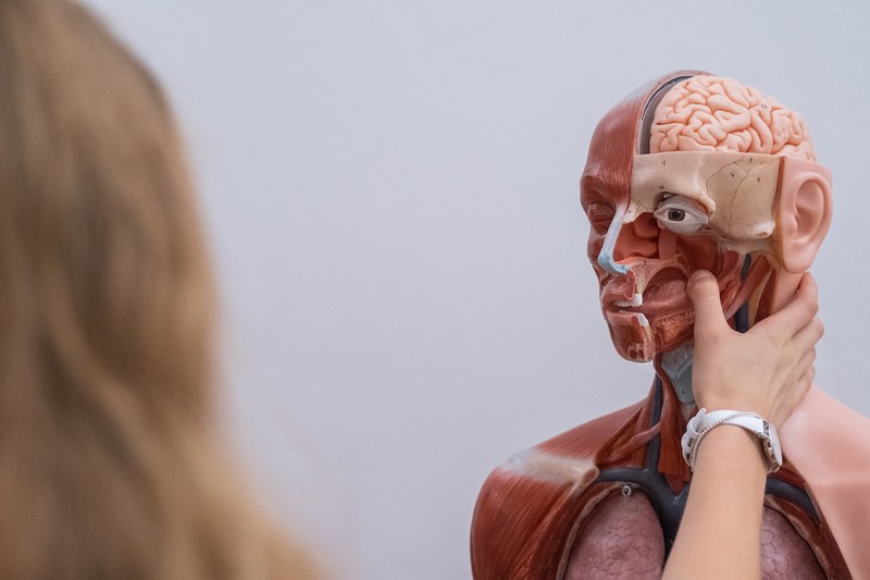 Attività in dipartimento