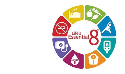 Life's Essential 8 - schema grafico