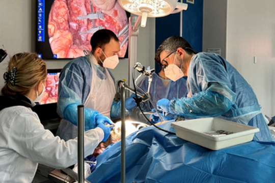 Formazione medica: il Centro di Anatomia Unibo sperimenta una tecnologia per vascolarizzare e ventilare il cadavere
