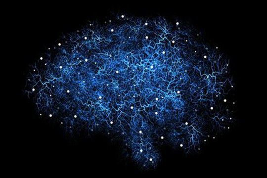 L’Alma Mater tra le protagoniste del Festival della Scienza di Genova con il progetto MNESYS L’Alma Mater tra le protagoniste del Festival della Scienza di Genova con il progetto MNESYS