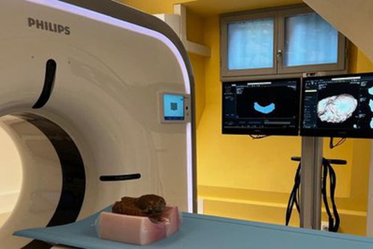 Tre uova di dinosauro sotto l'occhio della TAC al Centro di Anatomia dell'Alma Mater Tre uova di dinosauro sotto l'occhio della TAC al Centro di Anatomia dell'Alma Mater